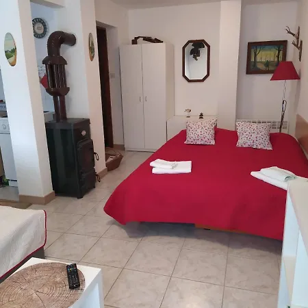 Studio-apartman Karolina Apartman